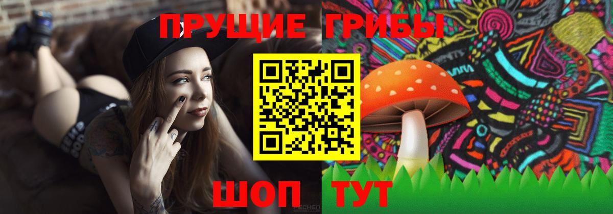 Галлюциногенные грибы GOLDEN TEACHER  Вход с VPN  Георгиевск 