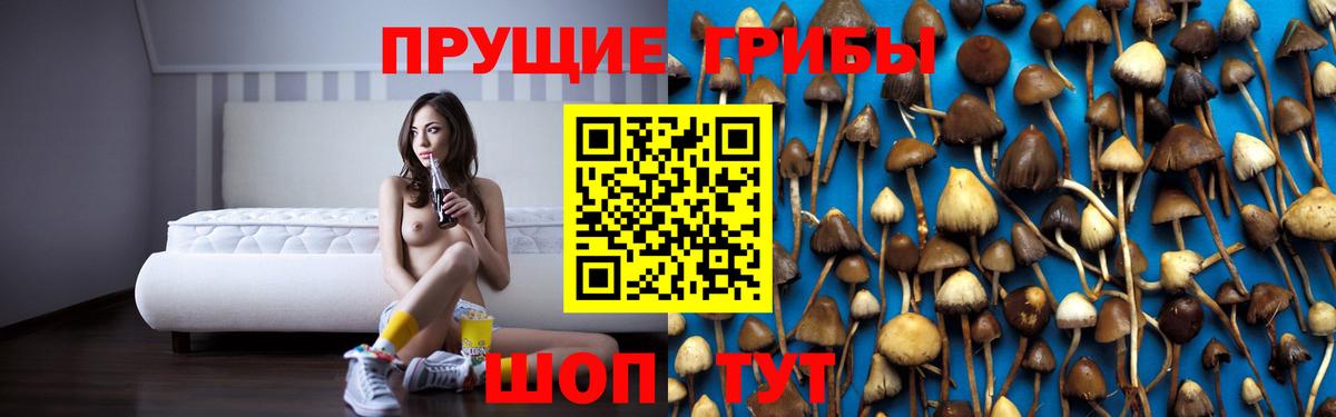 Галлюциногенные грибы Cubensis Георгиевск